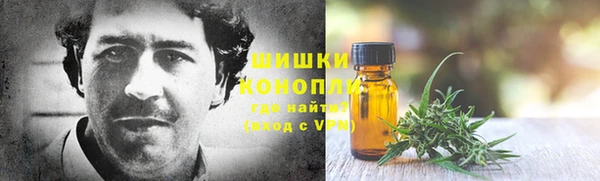 гидропоника Лагань
